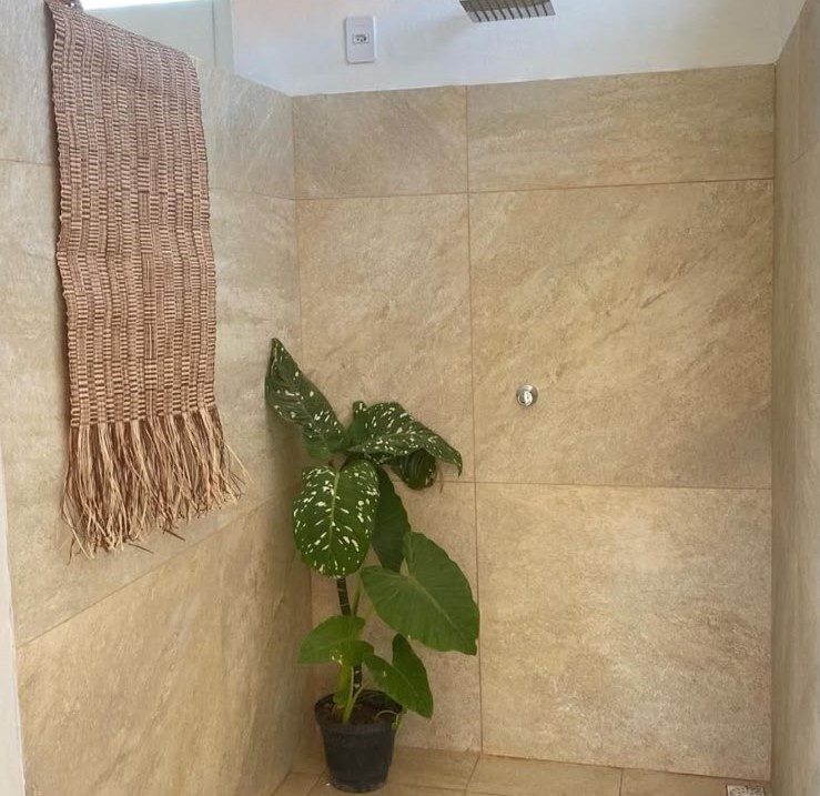 Box de banheiro com planta e toalha pendurada