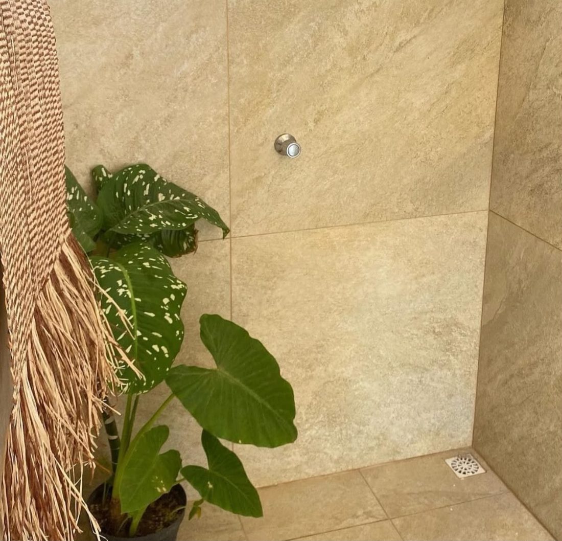 Box de banheiro com planta e toalha pendurada